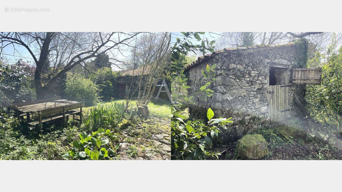 Maison à SAINT-GEORGES-DE-POINTINDOUX