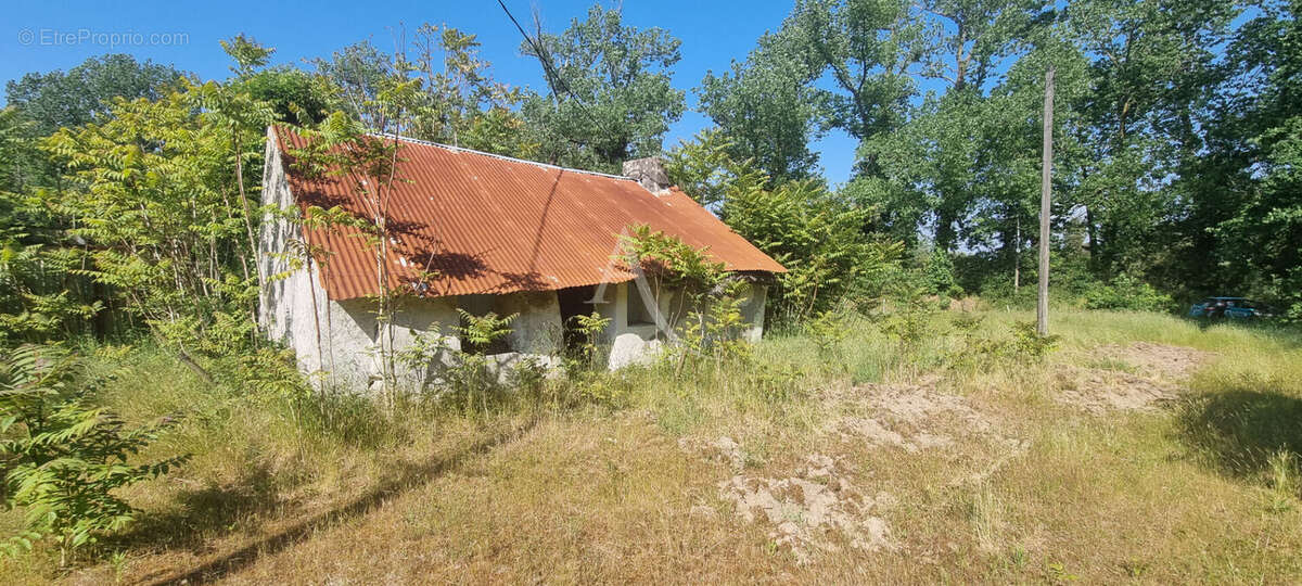 Terrain à SAINT-HILAIRE-DE-RIEZ