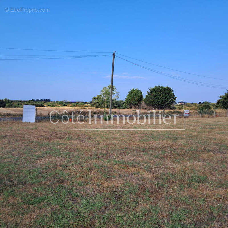 Terrain les moutiers en retz - photo 6