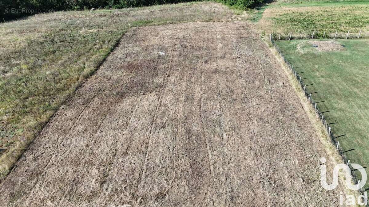 Photo 4 - Terrain à DURFORT-LACAPELETTE