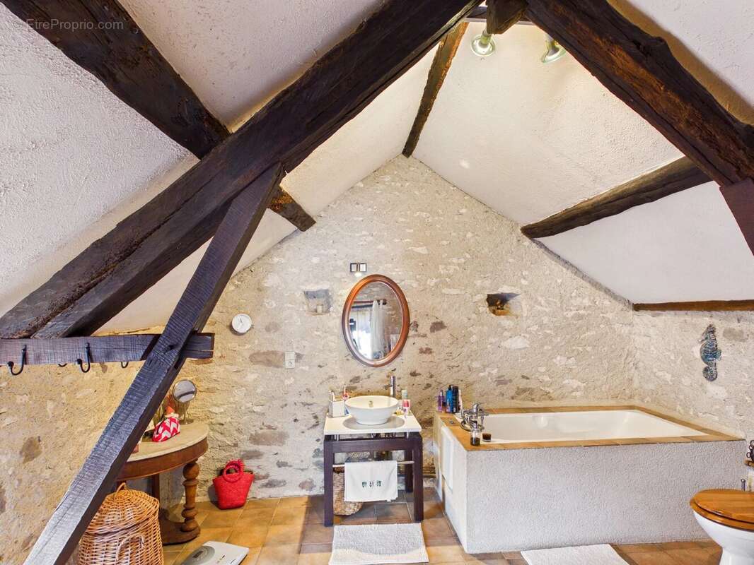 Grande maison de caractère à Monestiés – 270 m², piscine, jardin et potentiel gîte/location entre Cordes et Albi - photo 10