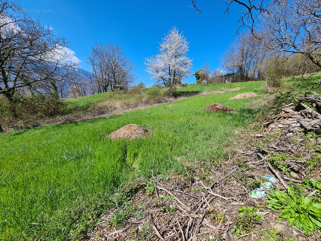 Terrain à LE CHEYLAS