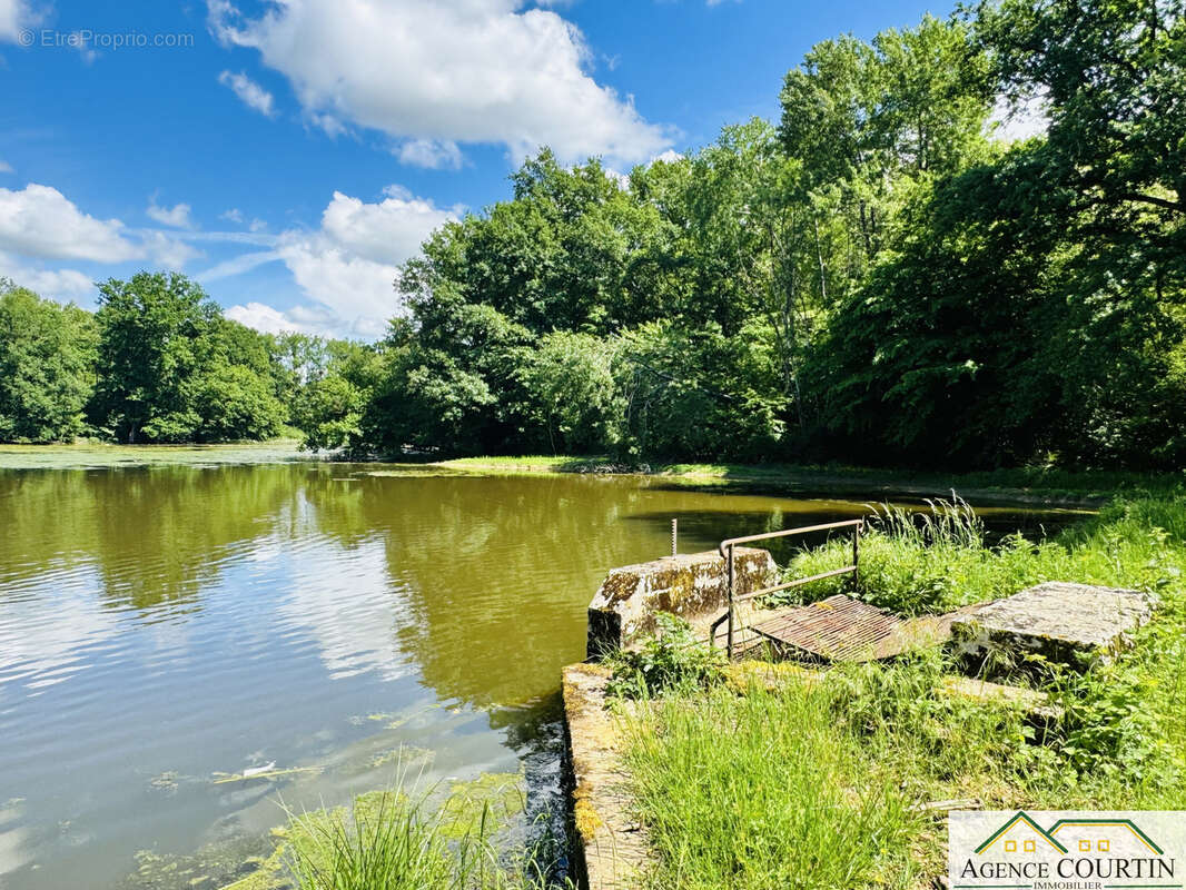 Terrain à LA CHAUX-EN-BRESSE