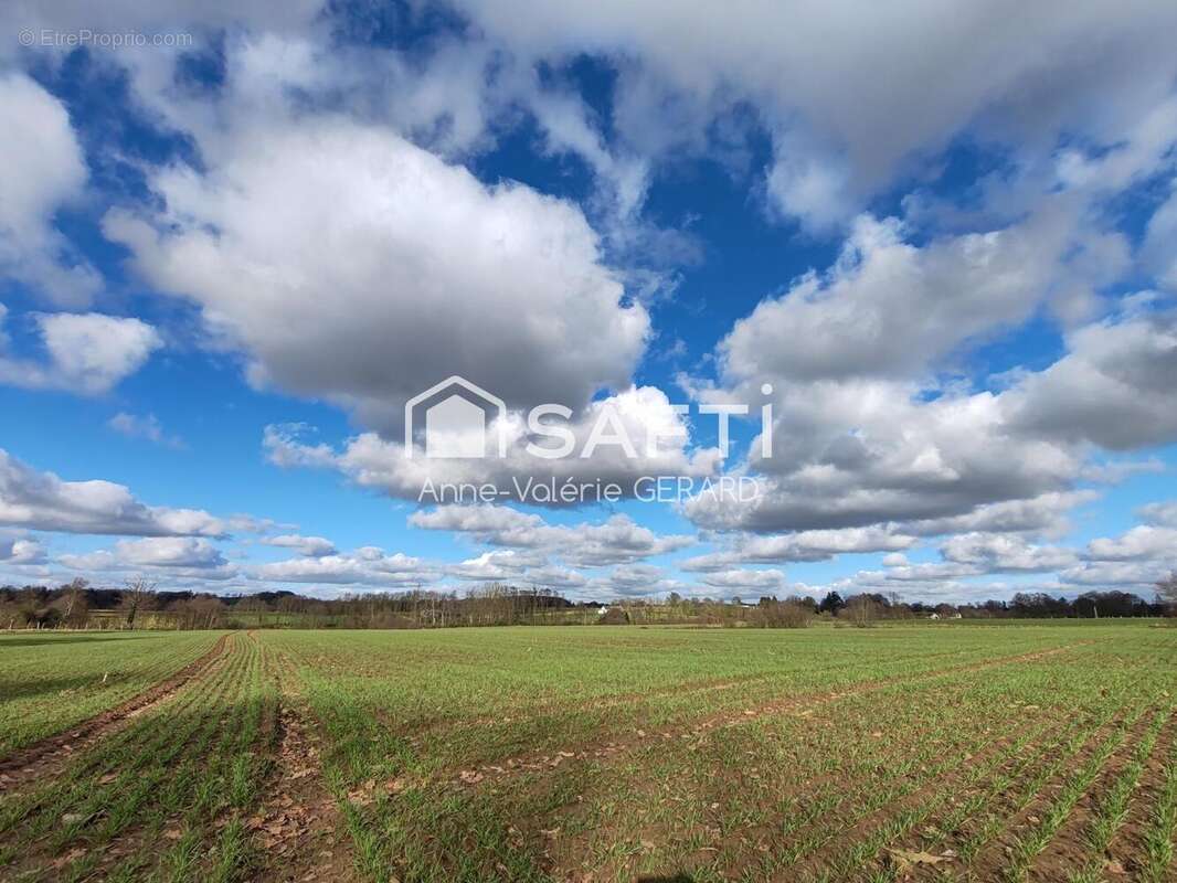 Terrain 120000 m² à Fougerolles-Du-Plessis  - photo 2