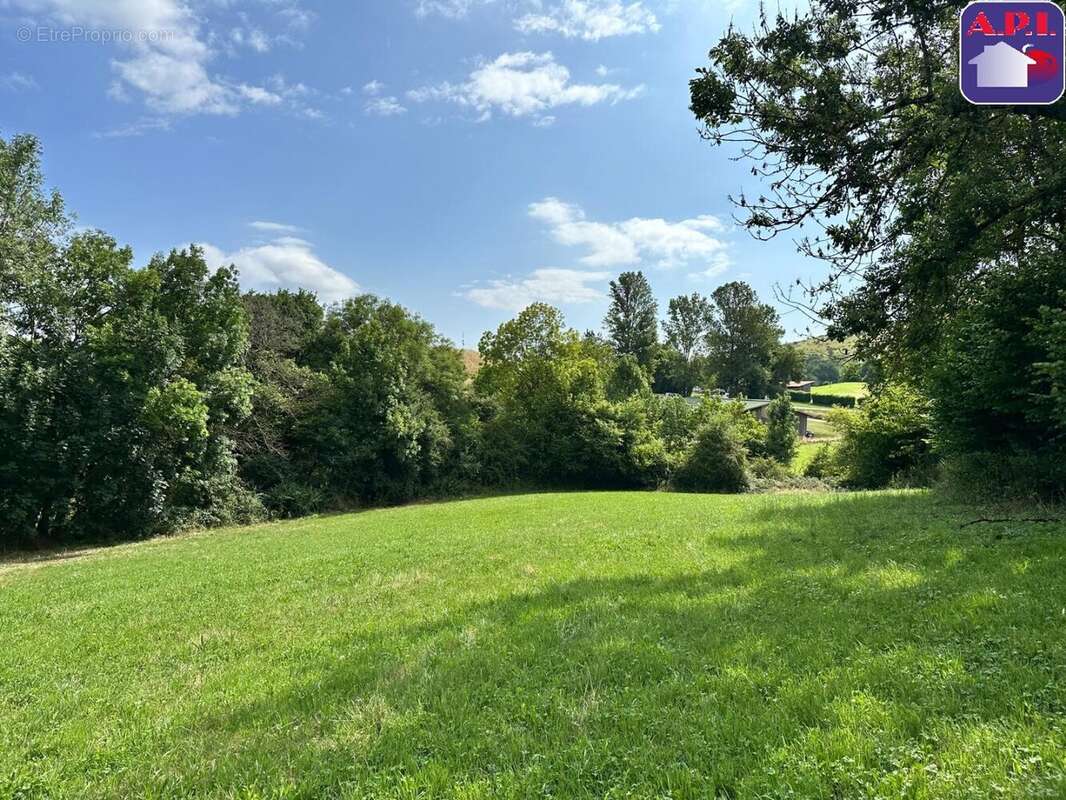 Terrain à LA BASTIDE-DE-SEROU