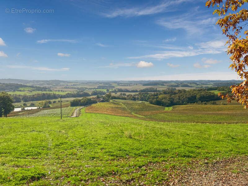 Dpt Gers (32), à vendre Proche de RISCLE château T6 de 327 m² habitables + 580 m² de dépendances attenantes sur 8157 m² de terra - photo 3