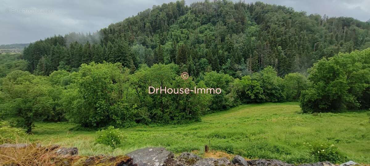 Maison 142 m² à Siaugues-Sainte-Marie  - photo 5