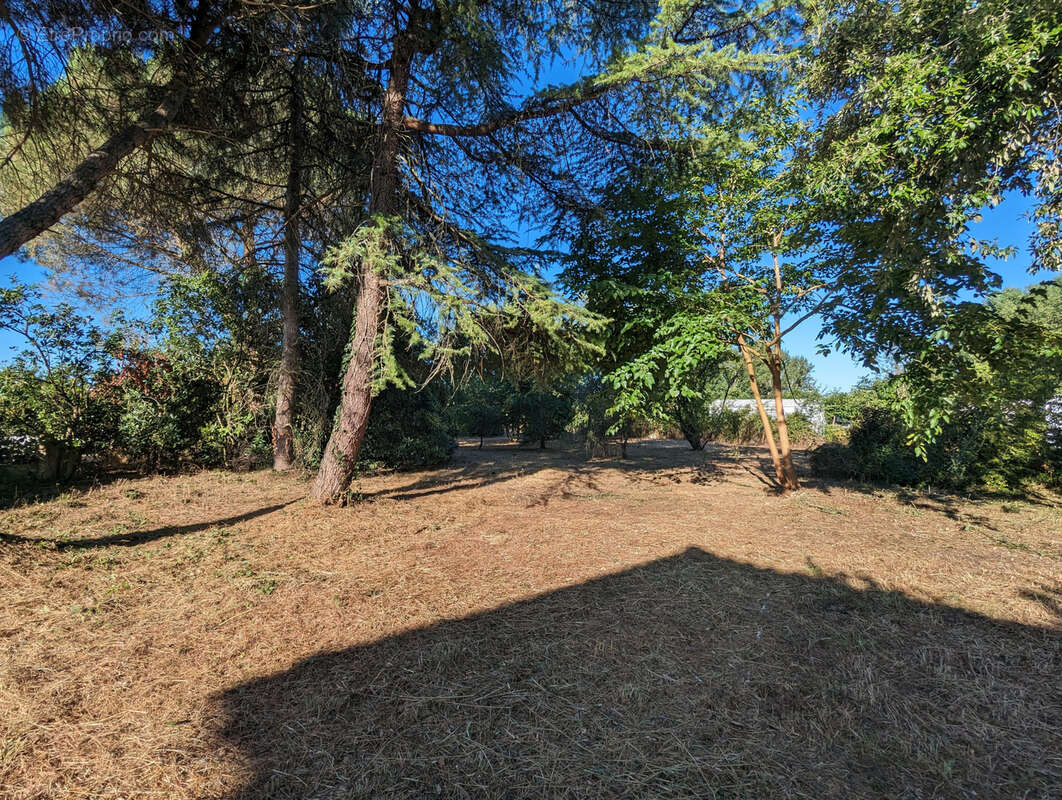 Terrain à RIVIERES