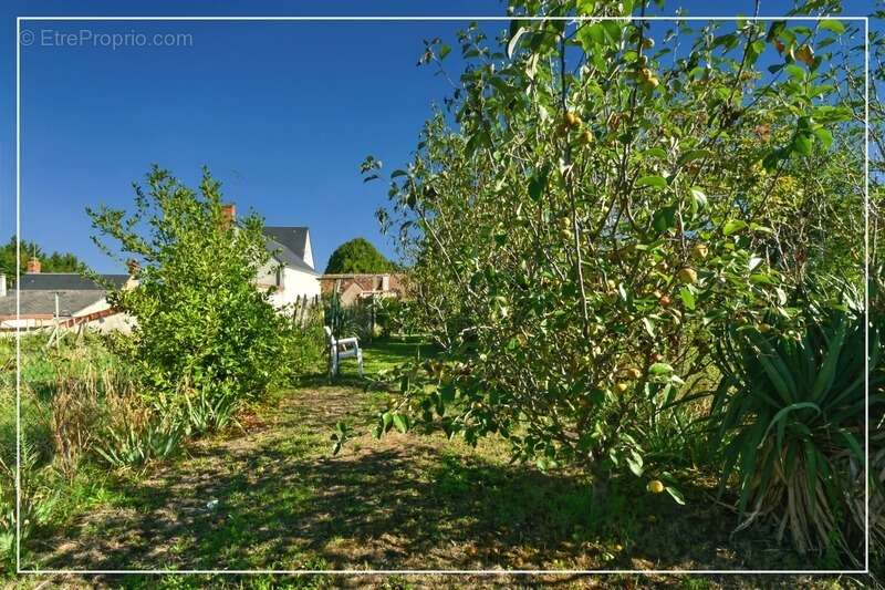 Maison avec garage et jardin au cœur du village / Idéal premier achat ou investissement  LE CHATELET (18) - photo 15