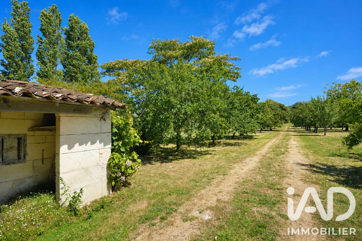 Maison 245 m² à Nieul-Les-Saintes  - photo 6