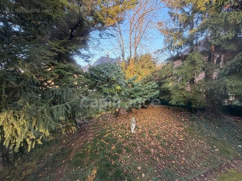 Maison à SCHILTIGHEIM