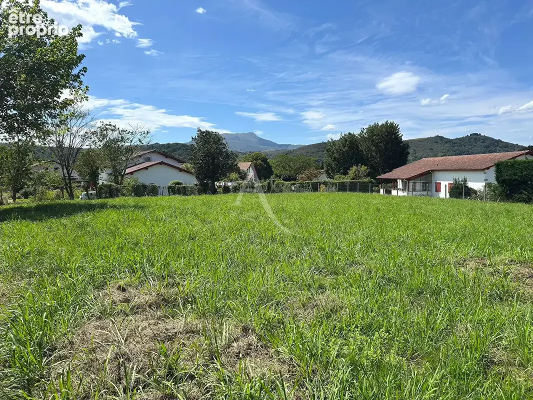 St Pée sur Nivelle - quartier Ibarron terrain constructible de 2000 m² - photo 3