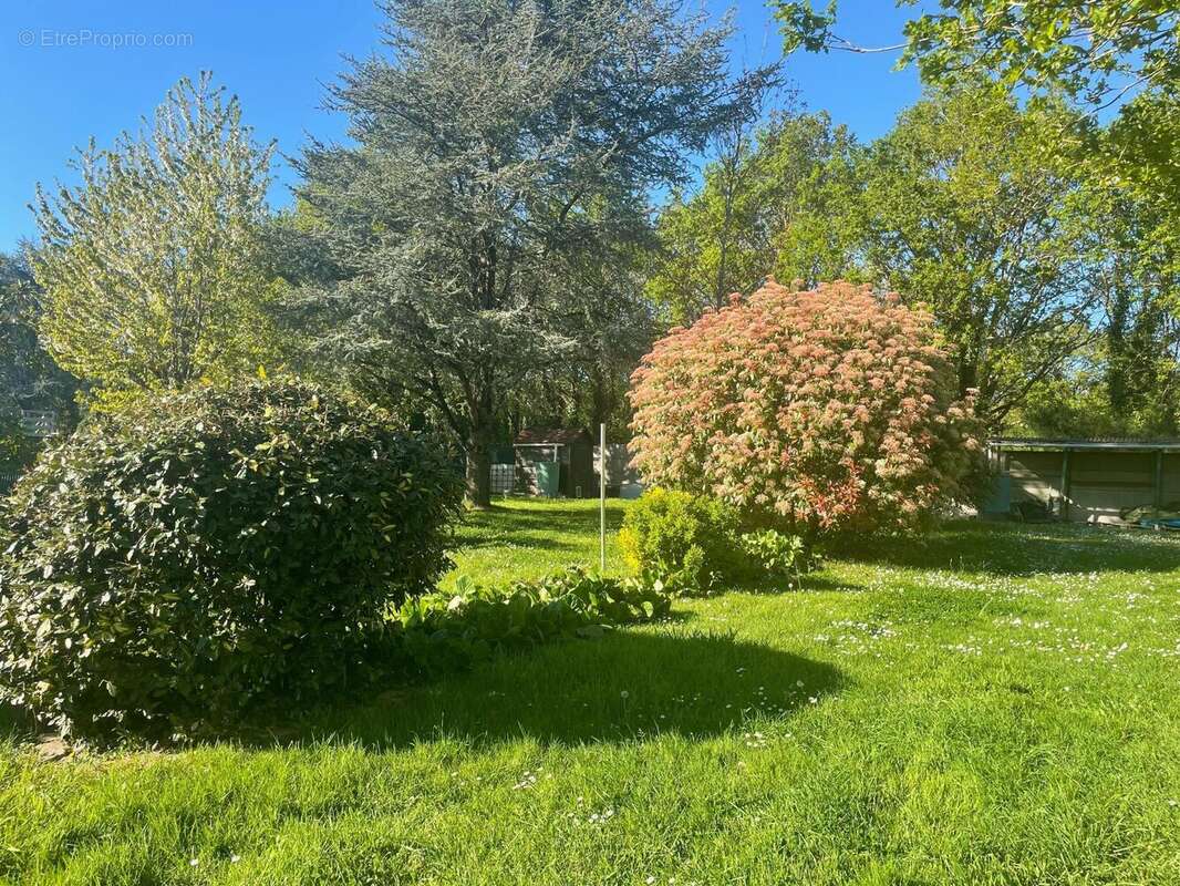 Photo 2 - Maison à SAINT-ANDRE-DES-EAUX