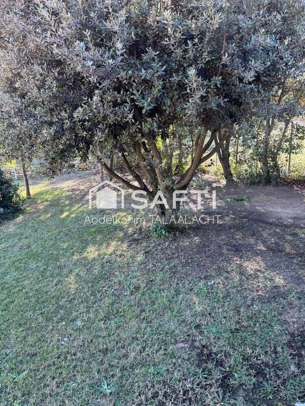 Photo 6 - Maison à MORNAS