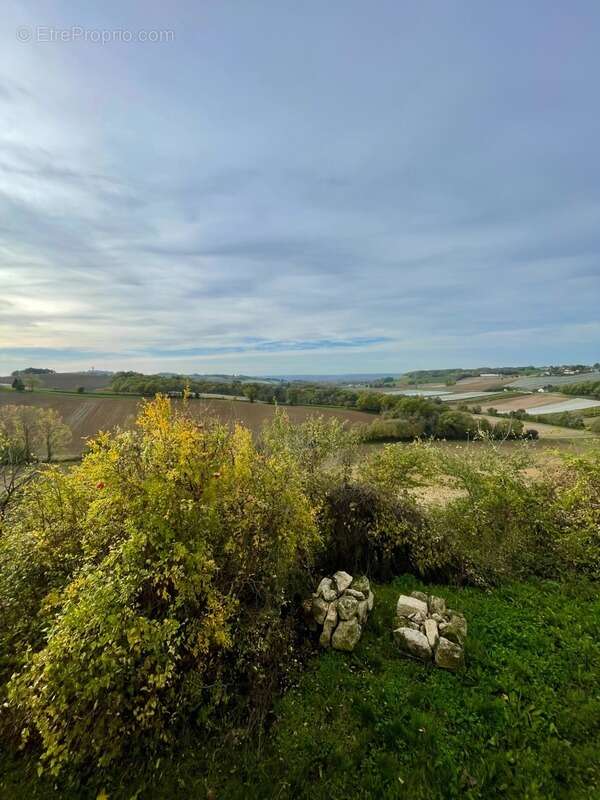 Hameau Authentique T15 à vendre, avec Maison et 6 logements indépendants et une vue panoramique-Saint-Vincent-Lespinasse (82) - photo 39