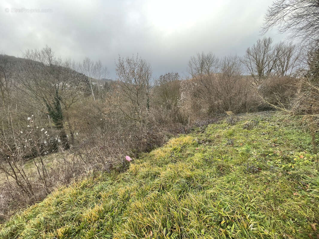 Terrain à SAINT-BEAUZELY