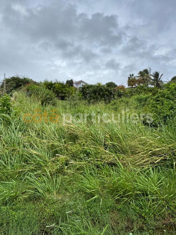 Terrain à SAINTE-ANNE