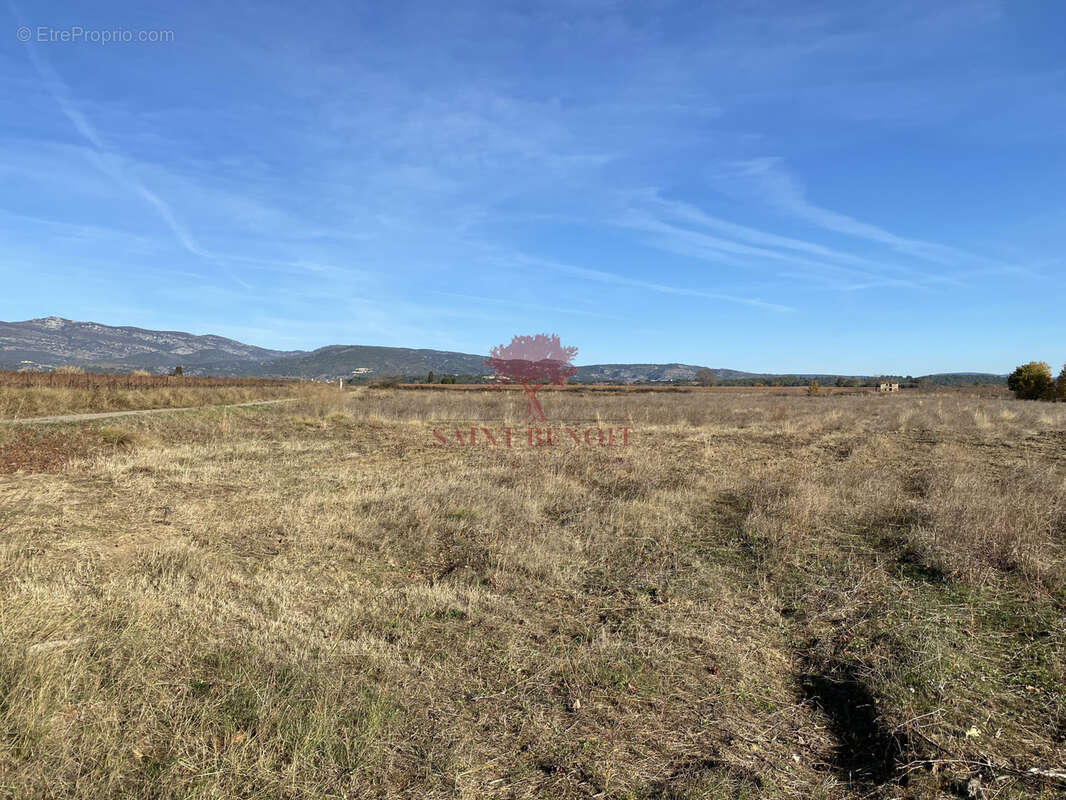 Terrain à SAINT-ANDRE-DE-SANGONIS