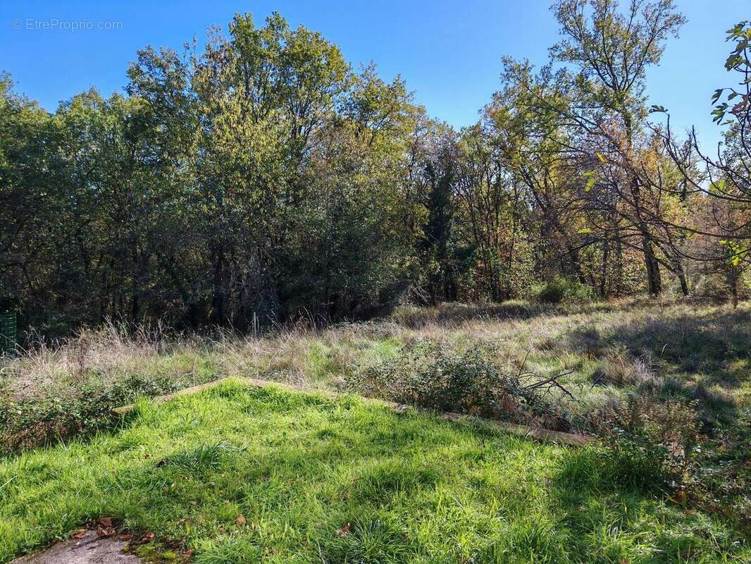 IMG20251030141930 - Maison à MONTIGNAC