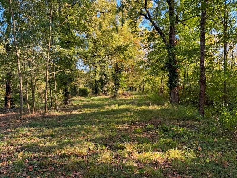 Maison à VIC-FEZENSAC