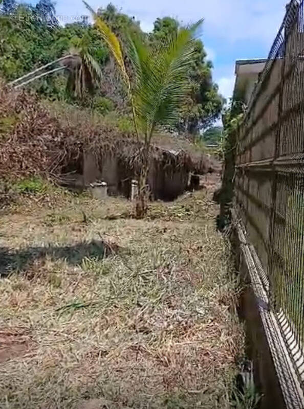 Maison à REMIRE-MONTJOLY