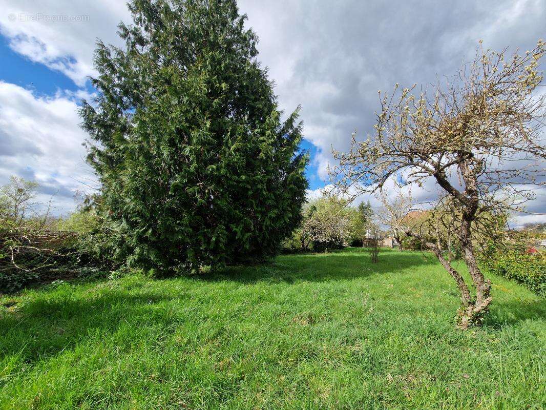 Maison à SELLES-SUR-CHER