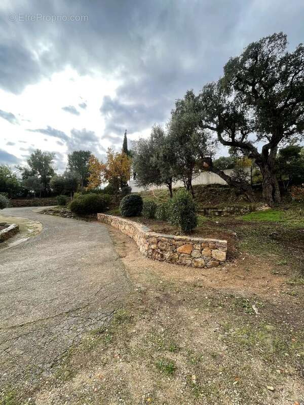 Maison à PLAN-DE-LA-TOUR