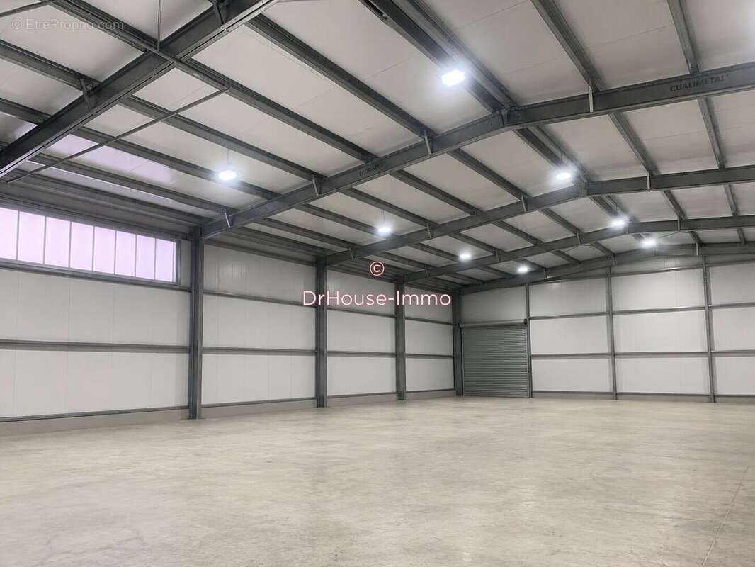981 m² à Bellegarde  - photo 2