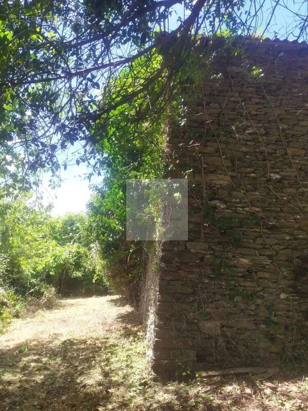 Maison à SAINT-HILAIRE-DE-LAVIT