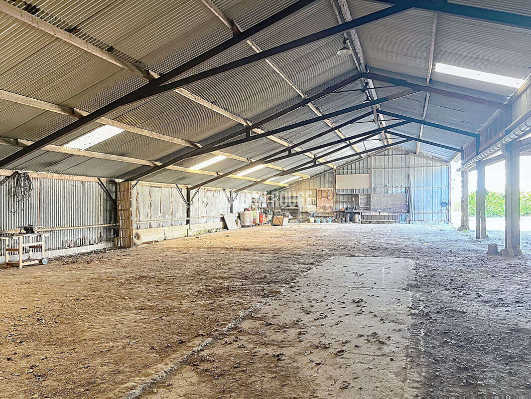 Maison d'habitation dependance et hangar de 800 m² - erquy - photo 18
