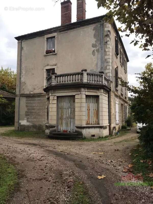 VIENNE, Immeuble Bourgeois de 360m² avec terrain de 830m² - photo 2