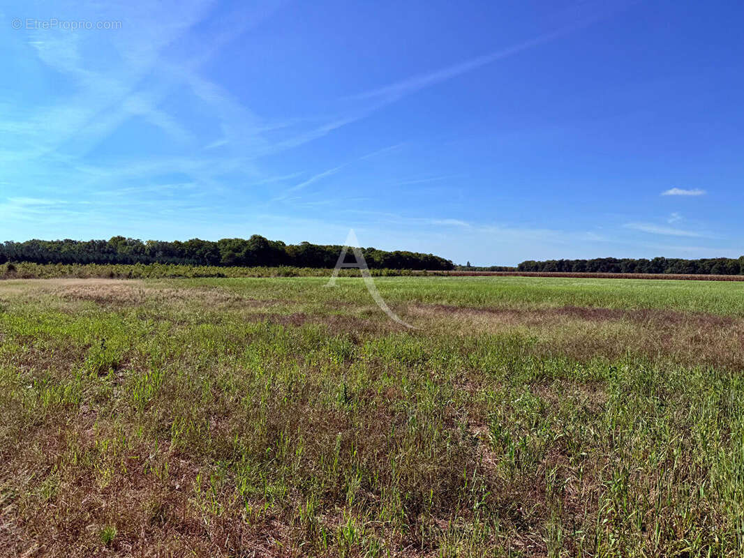 Terrain à LA FERTE-SAINT-AUBIN