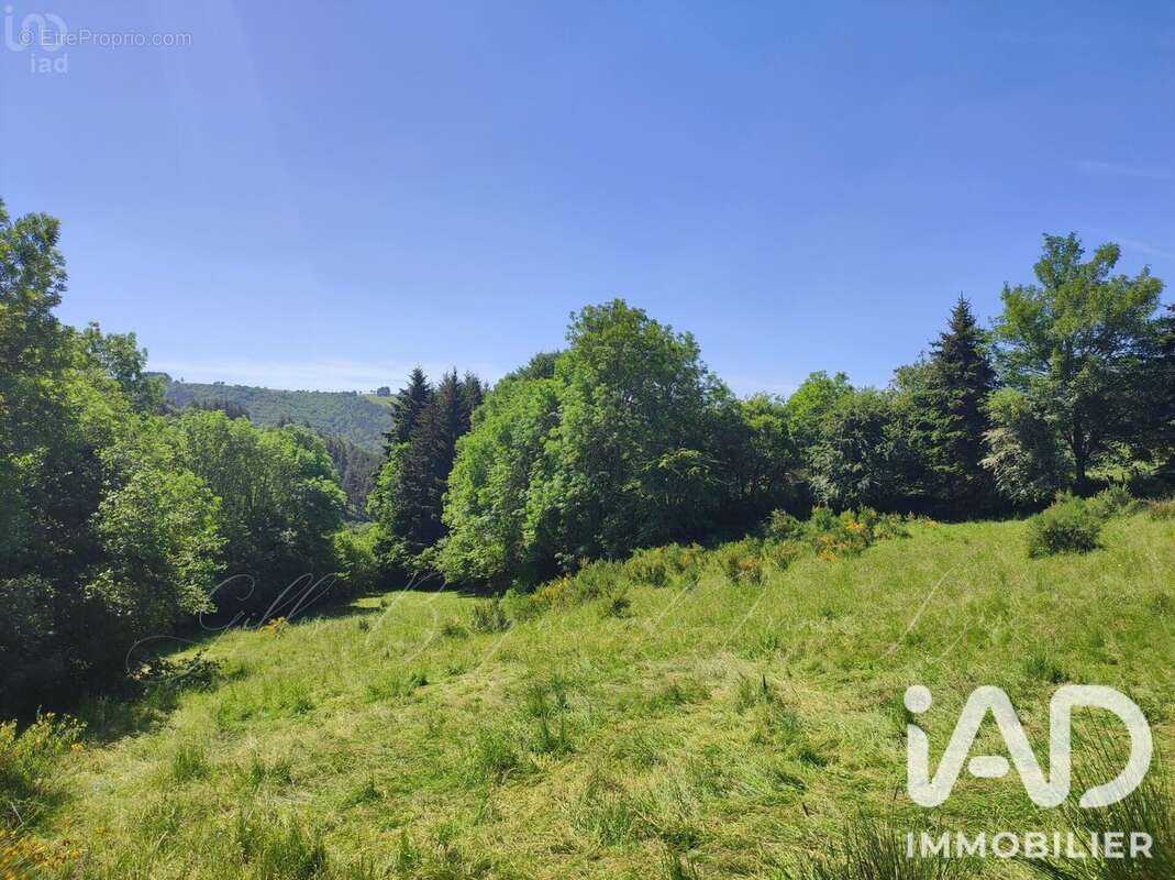 Photo 2 - Terrain à AUMONT-AUBRAC