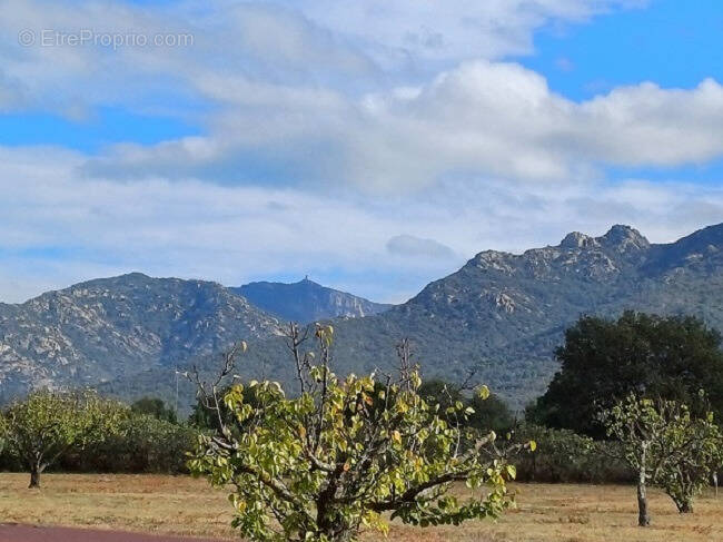 Terrain à VILLELONGUE-DELS-MONTS