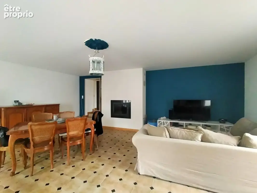 Maison à vendre Chémeré le Roi séjour