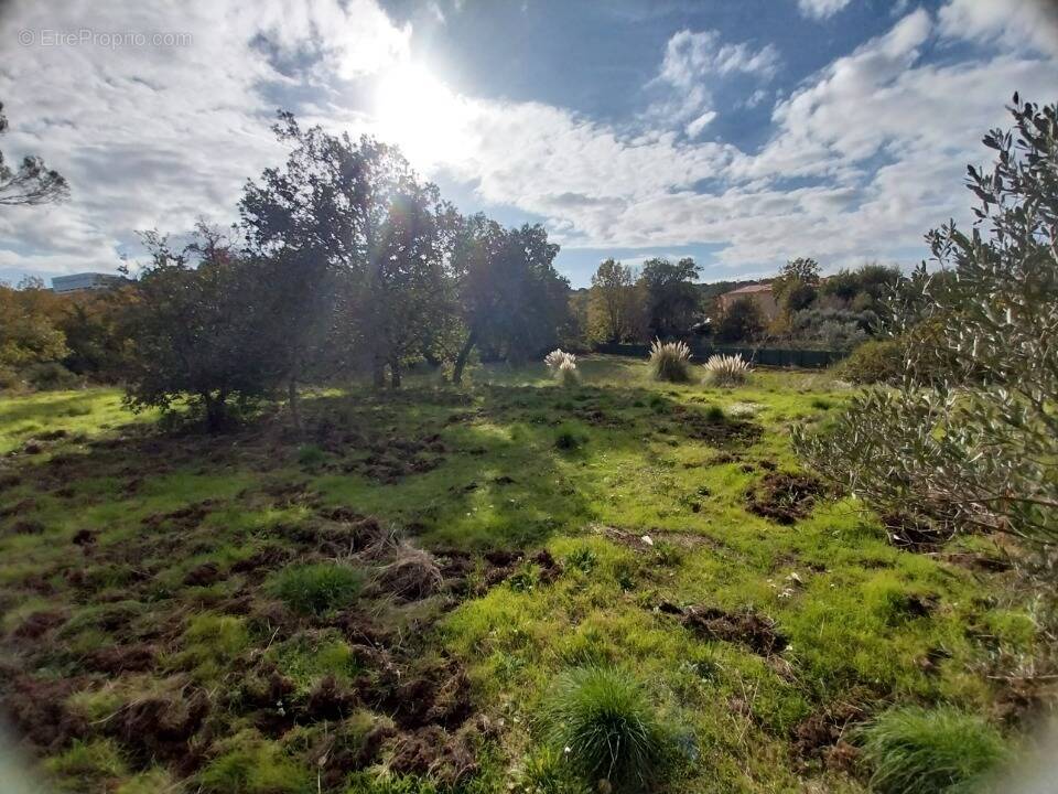 Terrain à SAINT-RAPHAEL
