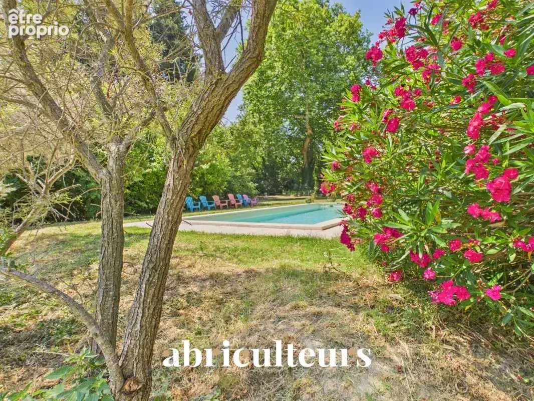 Mas provençal de 310 m² avec piscine et parc arboré de 7 880 m² — PNR des Alpilles - photo 17