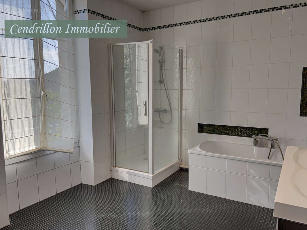 Belle maison bourgeoise entièrement rénovée, 350m2 habitables,  sur son parc de 4000m2 au cœur de la ville - photo 20