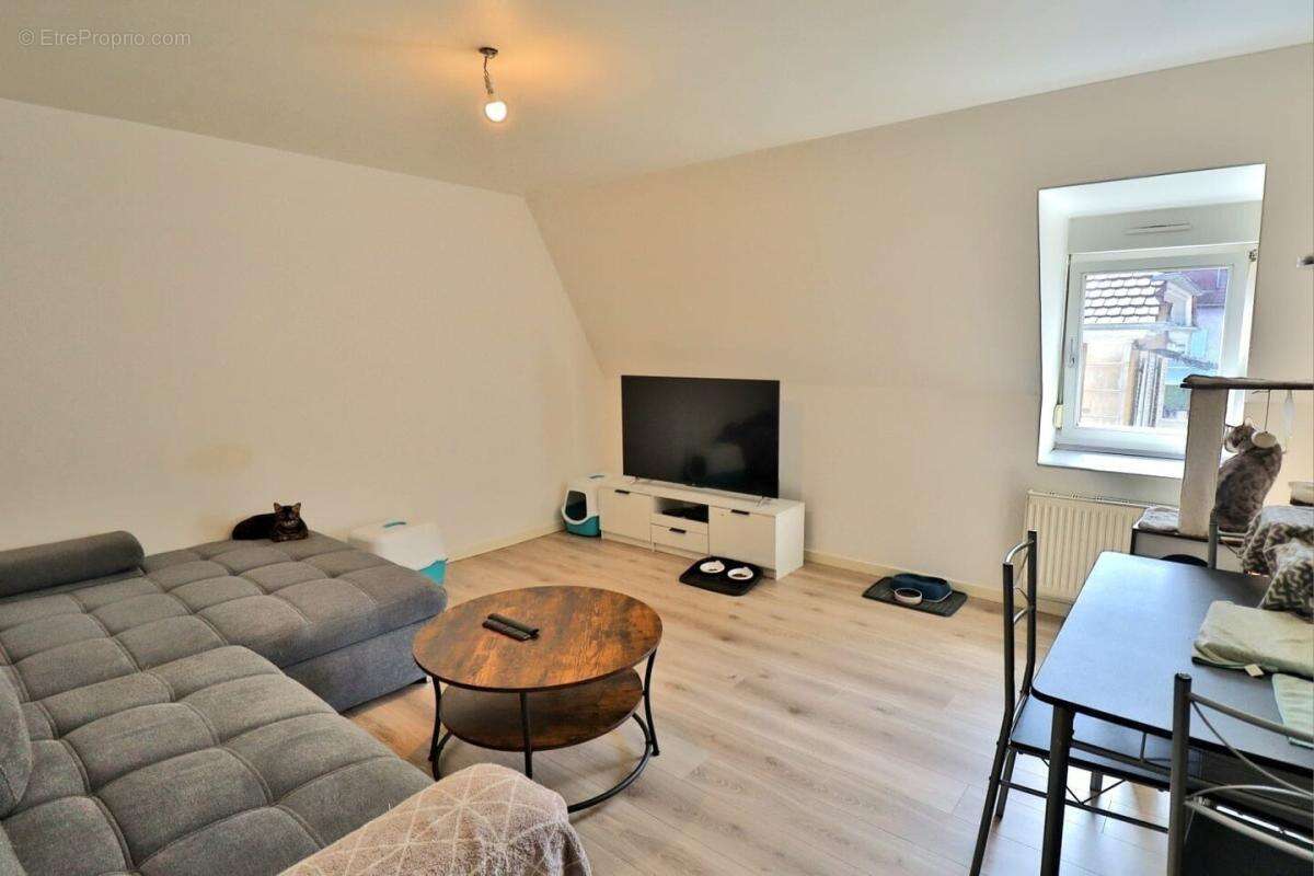 Delle, special investisseur appartement f2 - photo 7