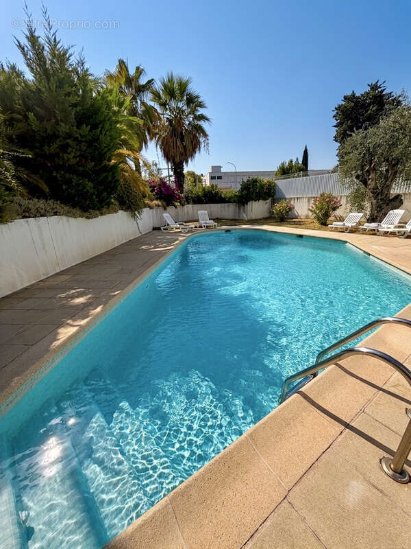 NICE OUEST   2 pièces avec jardin, terrasse, cave et piscine - photo 3