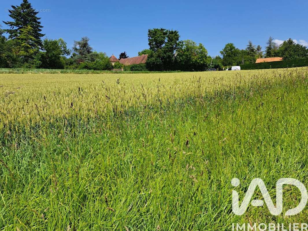 Photo 3 - Terrain à BESSON