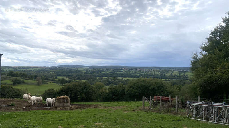 Maison à METZ-LE-COMTE