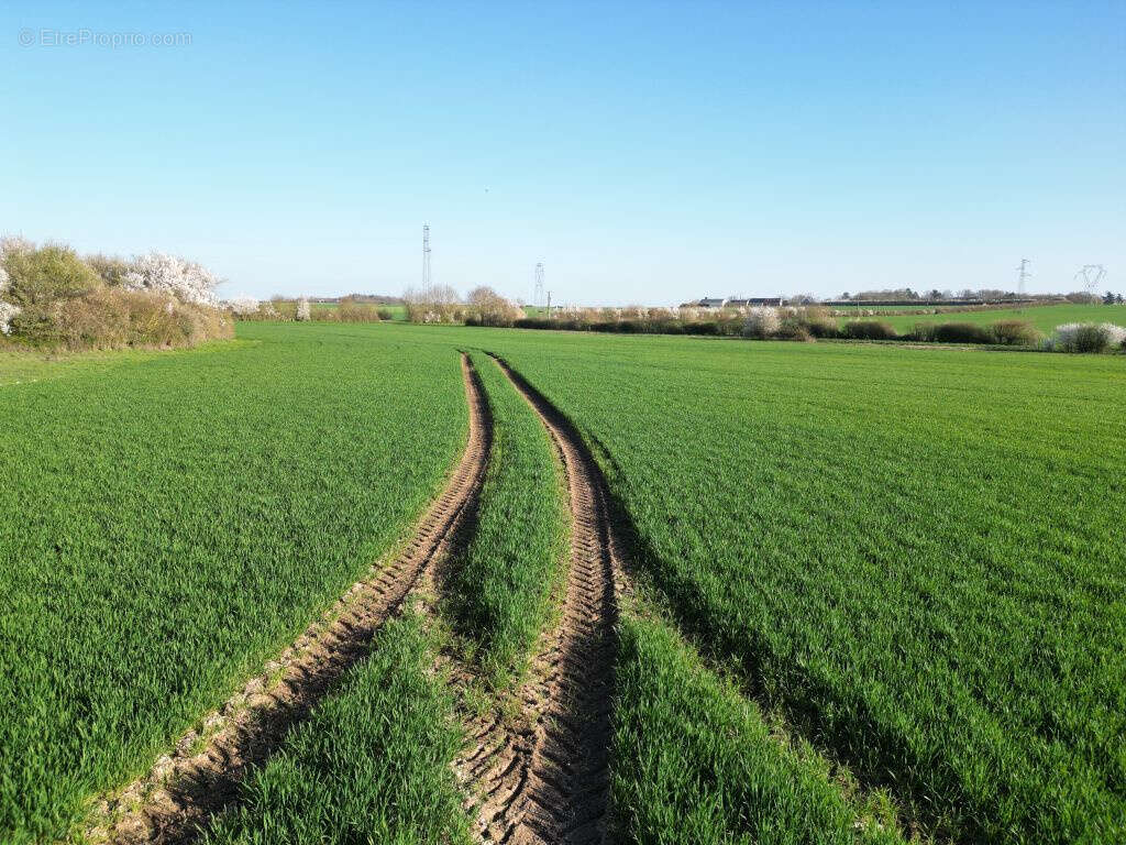 Terrain à VINEUIL