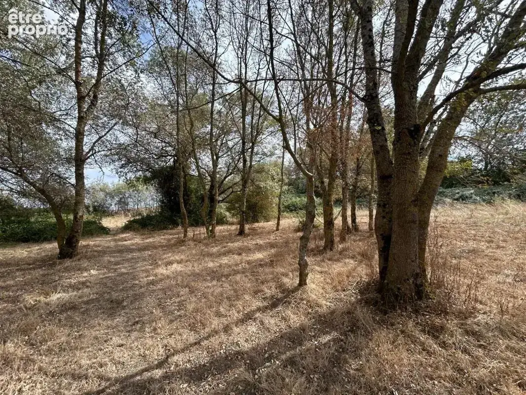 LECTOURE, Maison de caractère avec ses dépendances et 5hectares de terres autour - photo 16