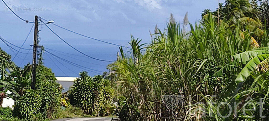 Terrain à CAPESTERRE-BELLE-EAU