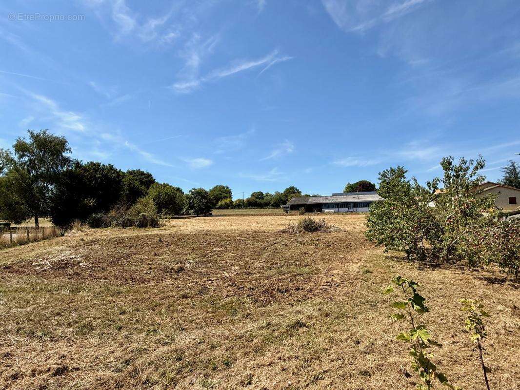 Maison à SAINT-COUTANT