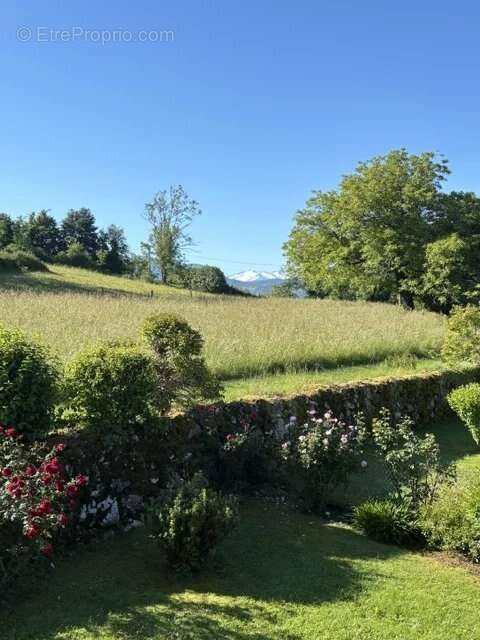 Maison à MONTESQUIEU-AVANTES