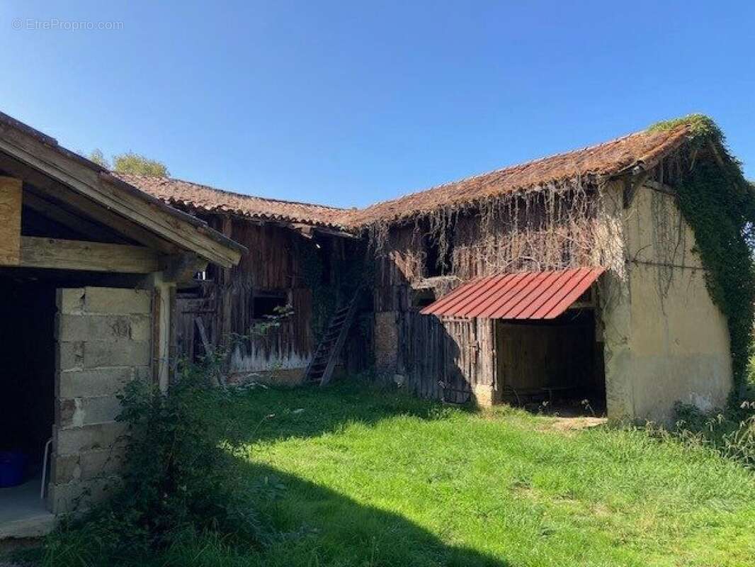 Photo 8 - Maison à LABASTIDE-D&#039;ARMAGNAC