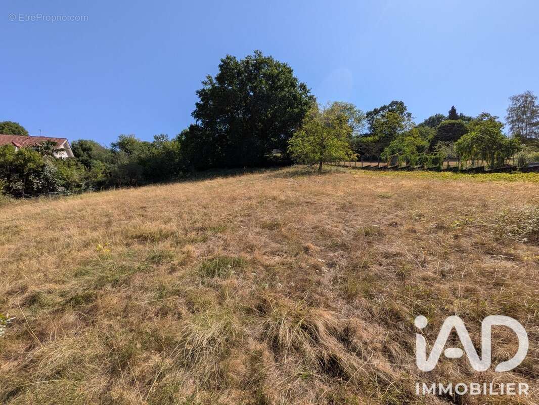 Terrain 3114 m² à Saint-Girons  - photo 3