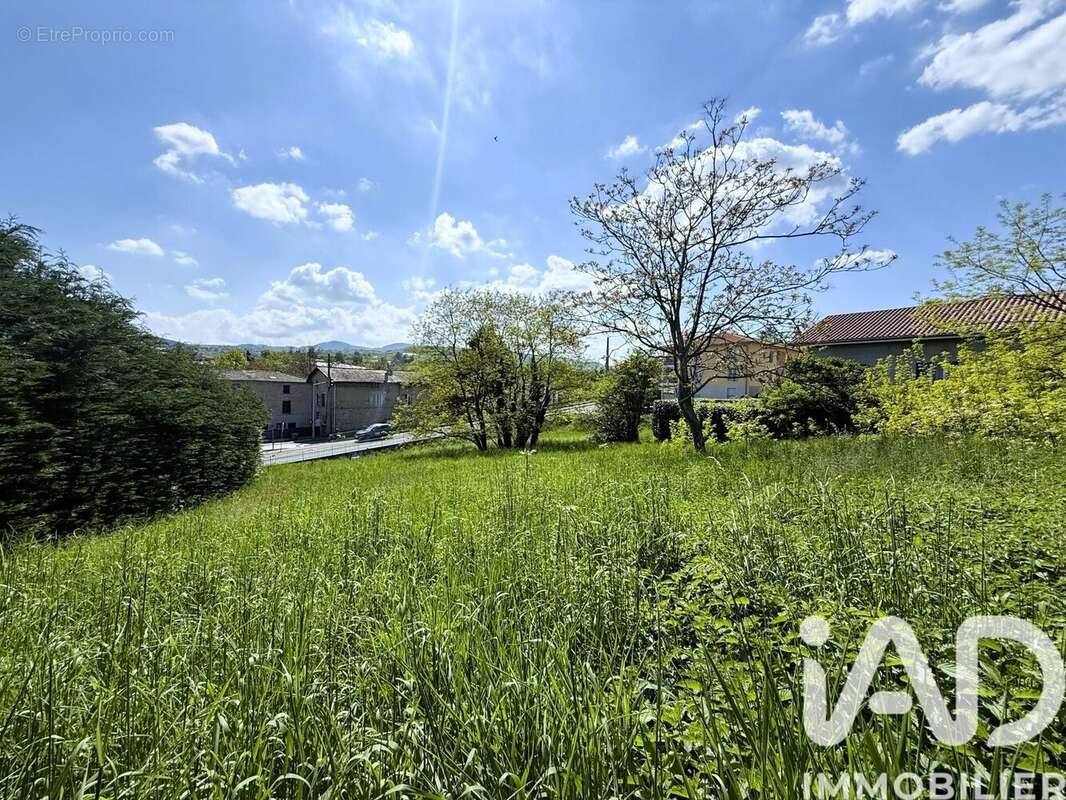 Photo 3 - Terrain à THURINS